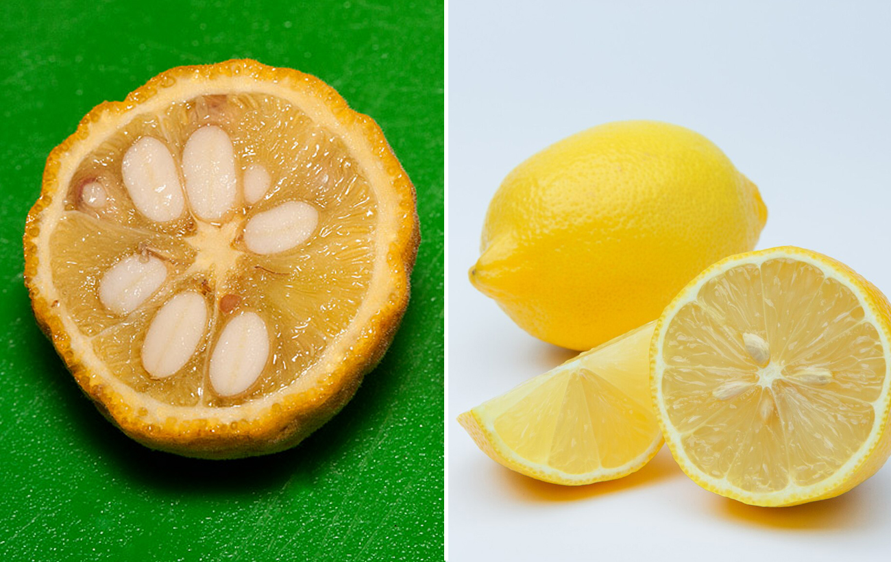 Окультурення значно їх змінило: як раніше виглядали популярні овочі й фрукти (відео)